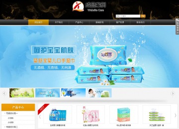 商务型成品案例站No:8829