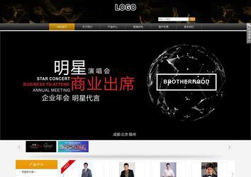 商务型成品案例站No:8829