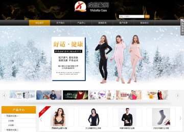 商务型成品案例站No:8829