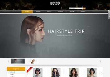 商务型成品案例站No:8829