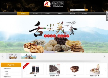 商务型成品案例站No:8829