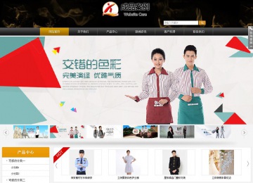 商务型成品案例站No:8829