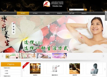 商务型成品案例站No:8829