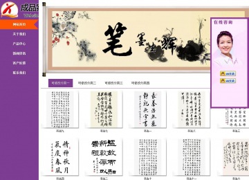 商务型成品案例站No:8830