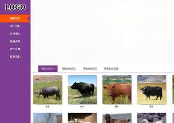 商务型成品案例站No:8830