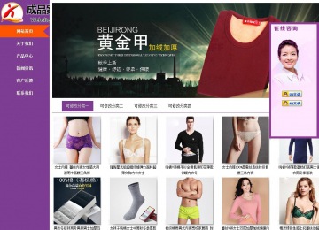 商务型成品案例站No:8830