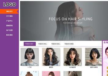 商务型成品案例站No:8830