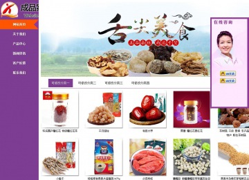 商务型成品案例站No:8830