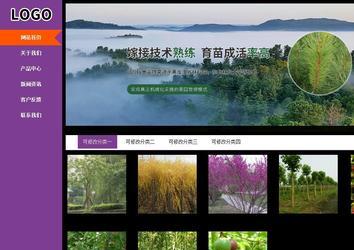 商务型成品案例站No:8830