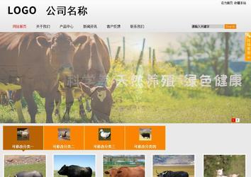 商务型成品案例站No:8831