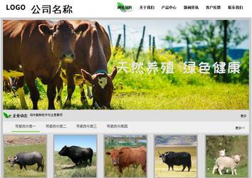 经济型成品案例站No:8833