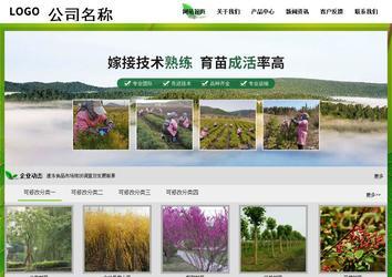 经济型成品案例站No:8833