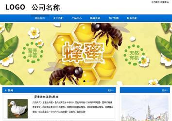 商务型成品案例站No:8838