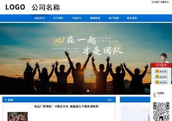 商务型成品案例站No:8838