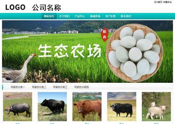 经济型成品案例站No:8851