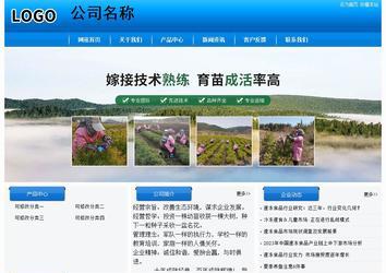 经济型成品案例站No:8855