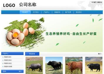 经济型成品案例站No:8856