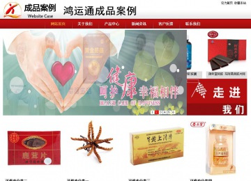 商务型成品案例站No:8860