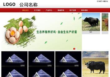 商务型成品案例站No:8860