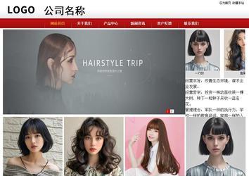 商务型成品案例站No:8860