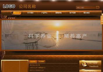 商务型成品案例站No:8861