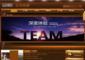 商务型成品案例站No:8861