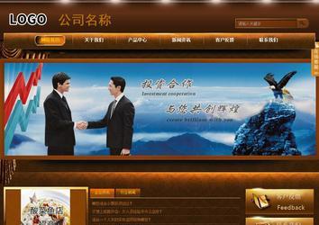 商务型成品案例站No:8861