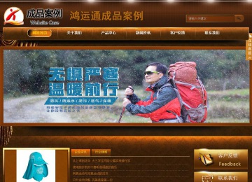 商务型成品案例站No:8861