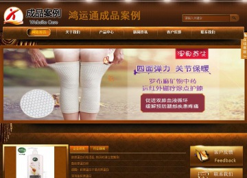 商务型成品案例站No:8861