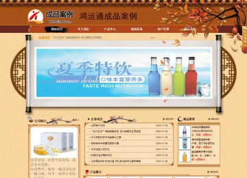 商务型成品案例站No:8863