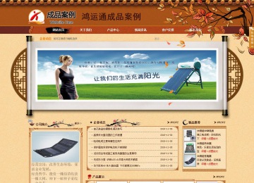 商务型成品案例站No:8863