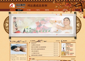 商务型成品案例站No:8863