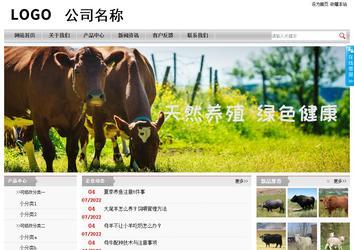 经济型成品案例站No:8890