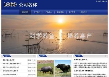 经济型成品案例站No:8903