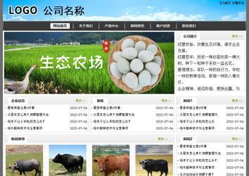 经济型成品案例站No:8917