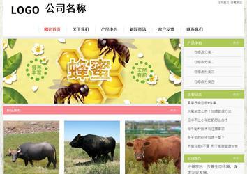 经济型成品案例站No:8918