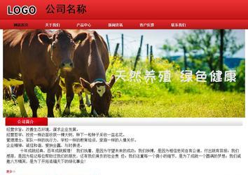 经济型成品案例No:9833