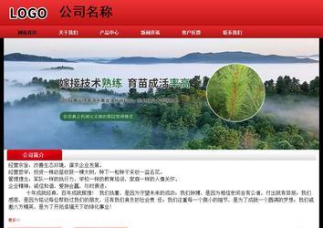 经济型成品案例No:9833